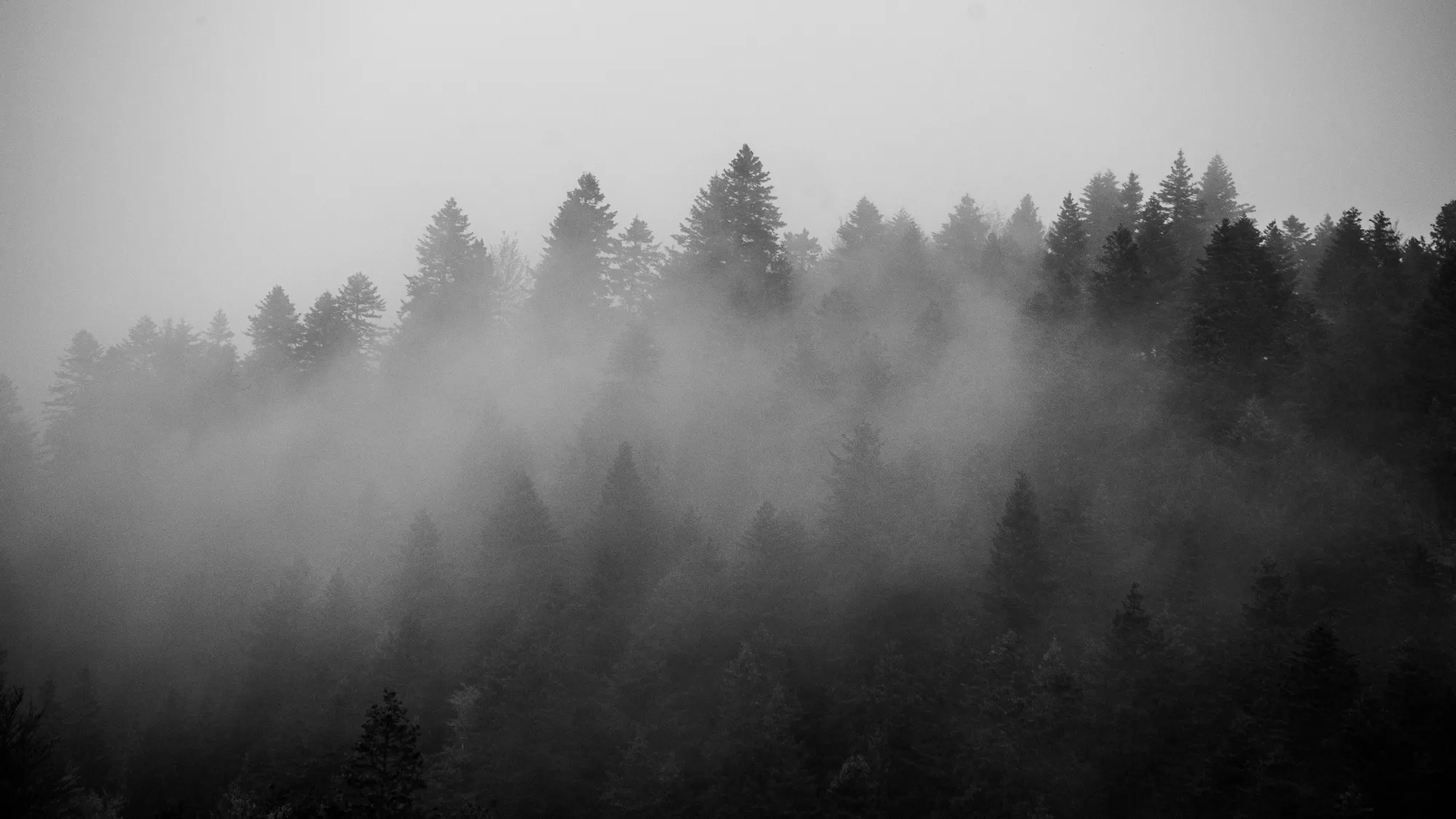 Deploying Private Tailscale Service with Headscale (Enabling Embedded DERP)