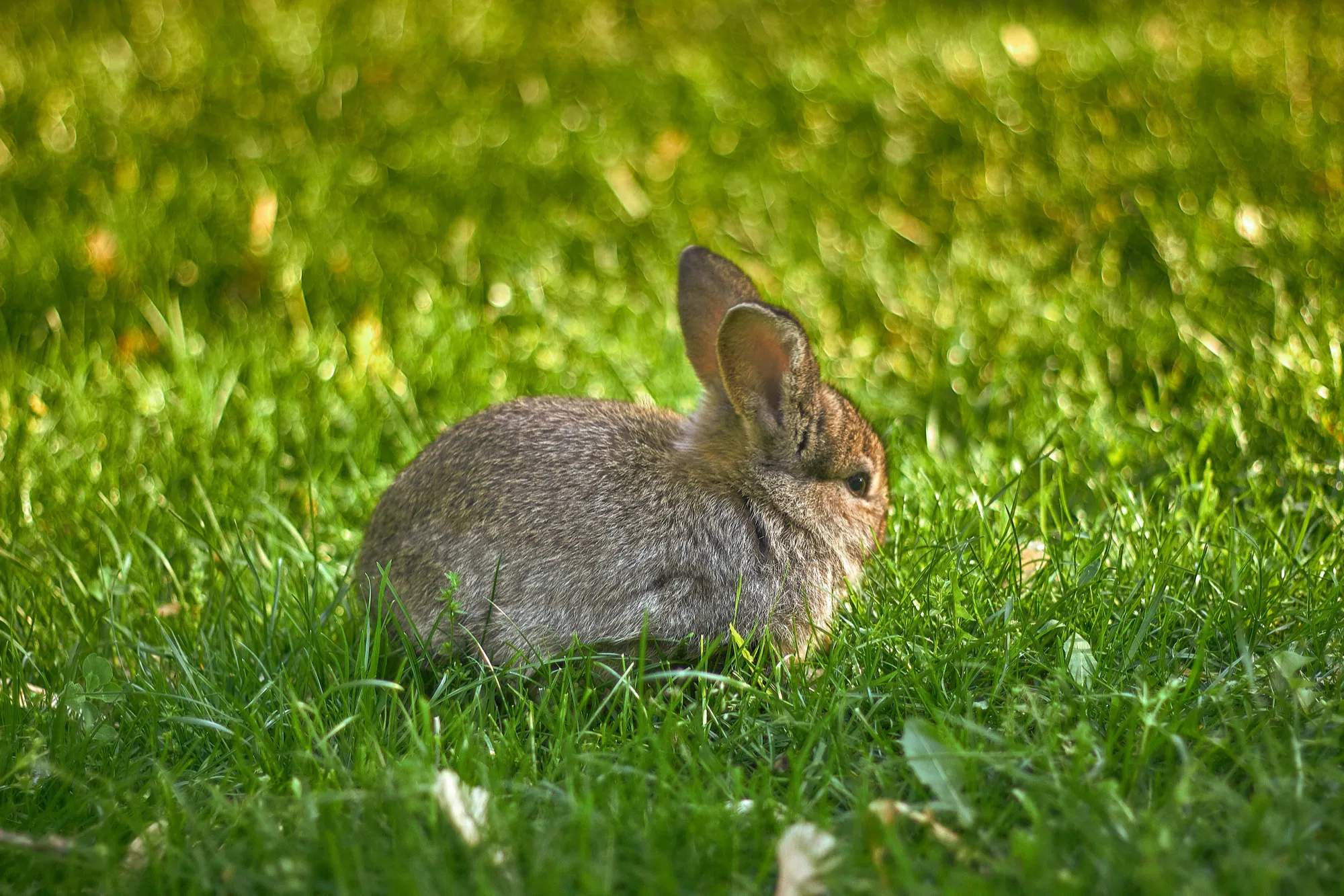 Implementing a Message Queue in 300 Lines of Code